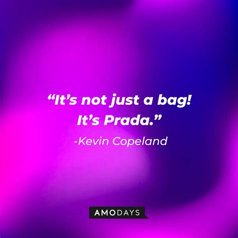 it's not just a bag quote.